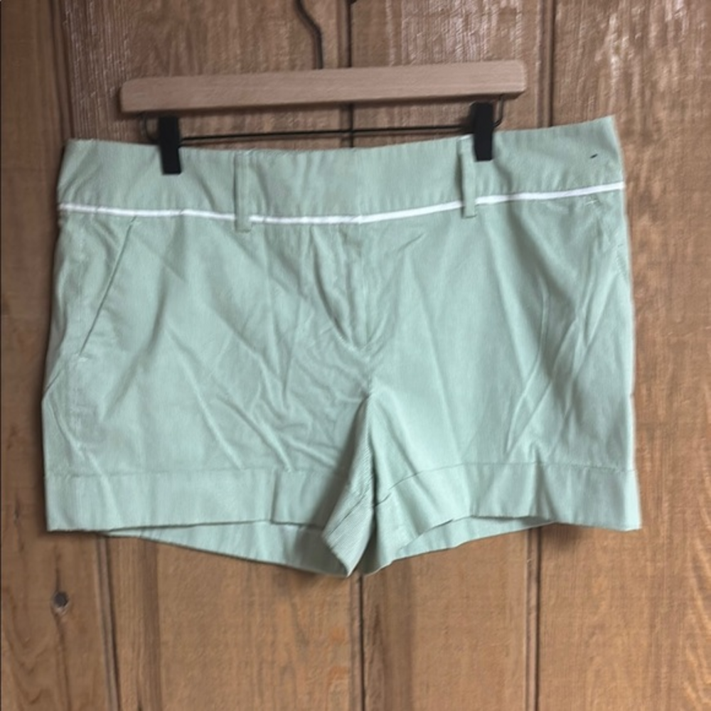 7th Avenue Design Studio from New York and Company Pin Striped Mint Green Shorts